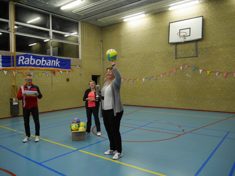 mgvv volley 11
