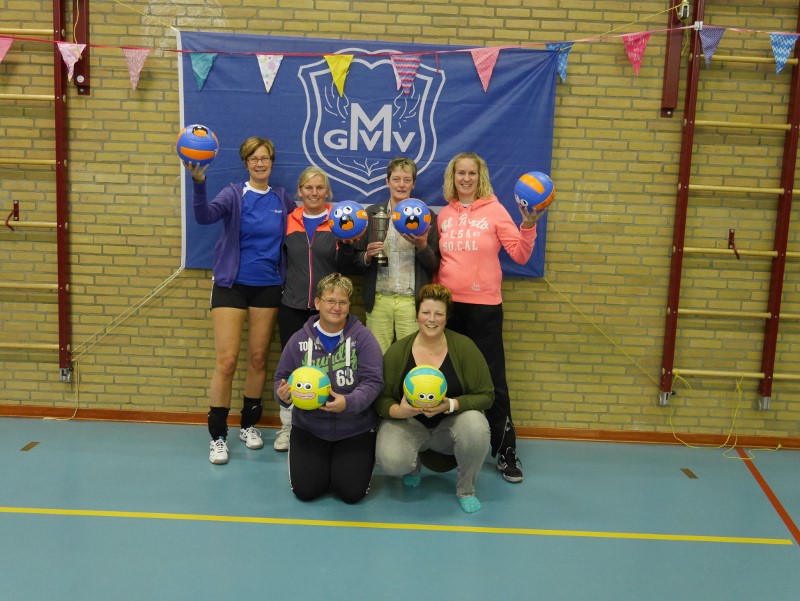 mgvv volley 12