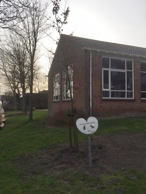 NLdoet foto 3