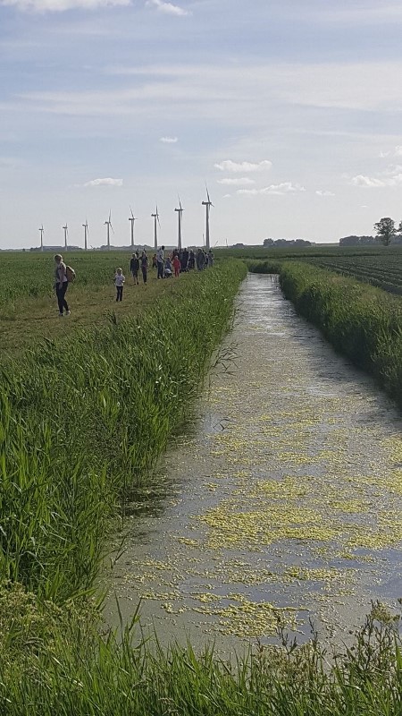 wandelvierdaagse 3450x800