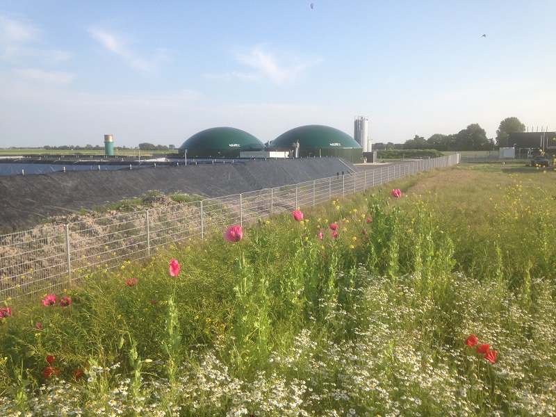 nieuweweg 14 06 2019