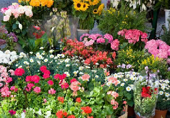 bloemenactie foto1